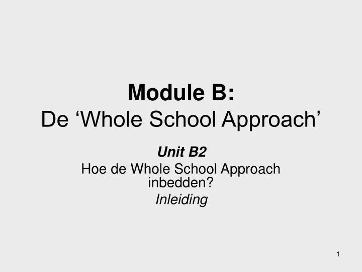 module b de whole school approach