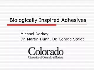 Biologically Inspired Adhesives
