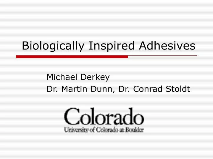 biologically inspired adhesives