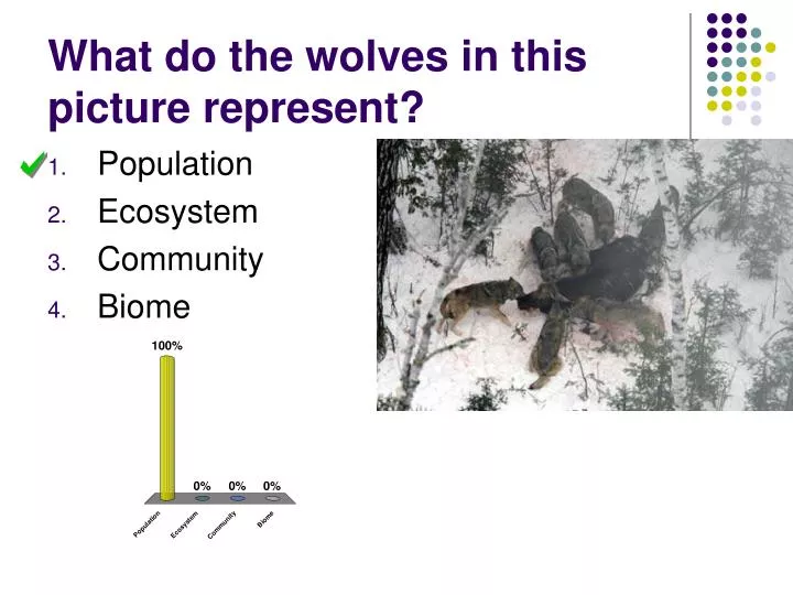 what do the wolves in this picture represent