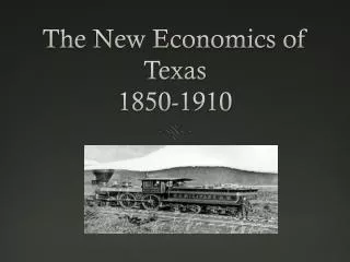 The New Economics of Texas 1850-1910