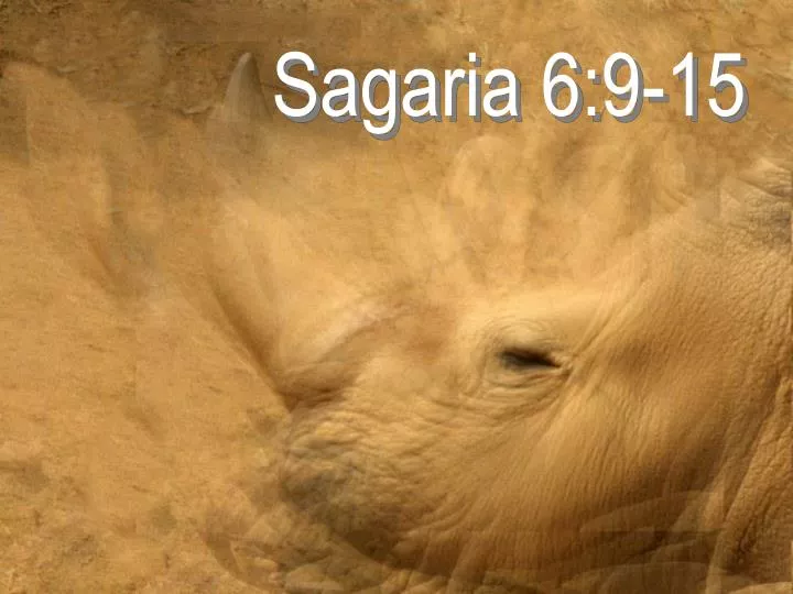 sagaria 6 9 15