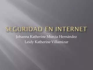 seguridad en internet