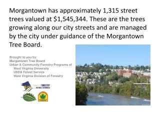 Brought to you by: Morgantown Tree Board Urban &amp; Community Forestry Programs of
