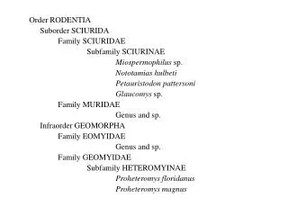 Order RODENTIA 	Suborder SCIURIDA 		Family SCIURIDAE 			Subfamily SCIURINAE Miospermophilus sp.