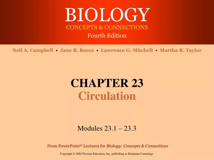 chapter 23 circulation
