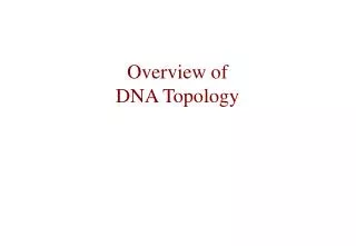 Overview of DNA Topology