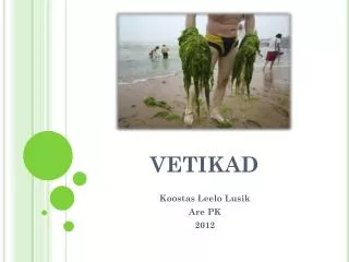 vetikad