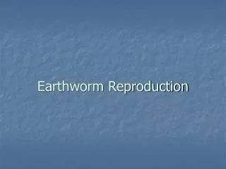 Earthworm Reproduction
