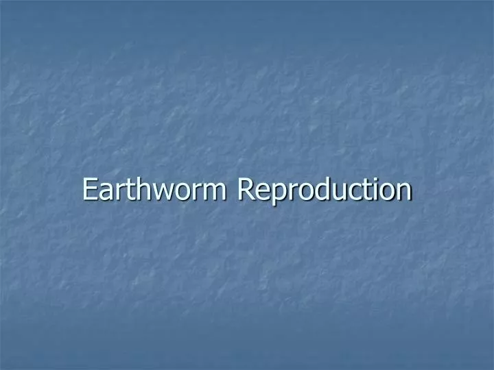 earthworm reproduction