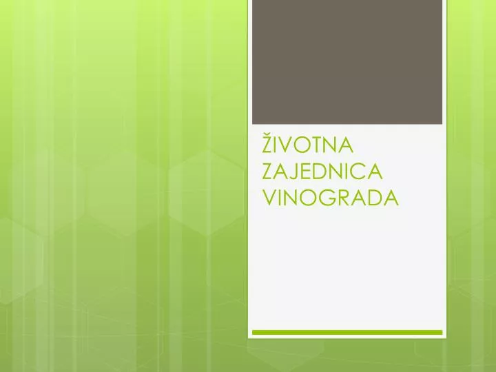 ivotn a zajednic a vinograda