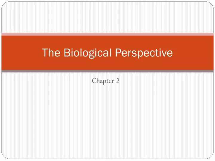 the biological perspective