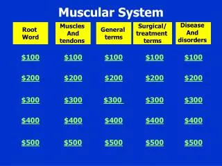 Muscular System