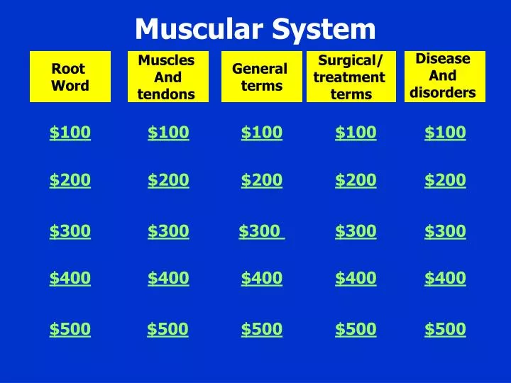 muscular system