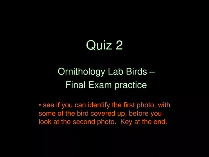 quiz 2