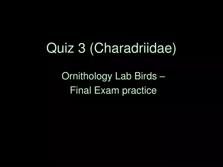 quiz 3 charadriidae