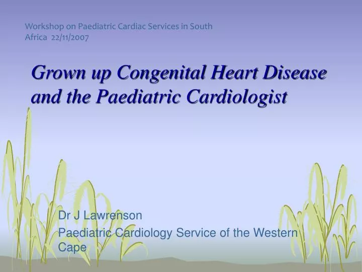 grown up congenital heart disease and the paediatric cardiologist