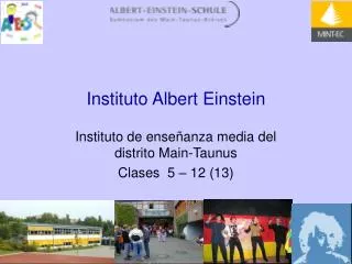 instituto albert einstein