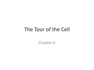 The Tour of the Cell