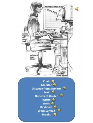 Chair Monitor Distance from Monitor Feet Document Holder Wrists Arms Keyboard Work Surface Breaks