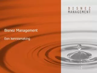 bisnez management