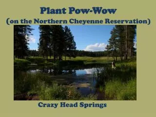 Plant Pow -Wow ( on the Northern Cheyenne Reservation)