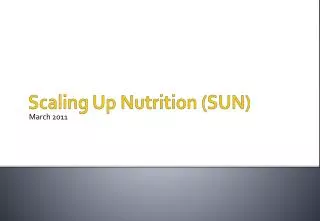 Scaling Up Nutrition (SUN)