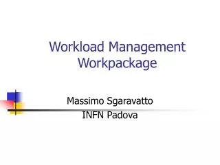 Workload Management Workpackage