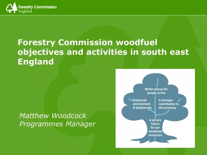 forestry commission woodfuel objectives and activities in south east england