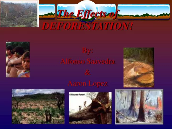 the effects of deforestation