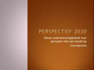 perspectief 2020