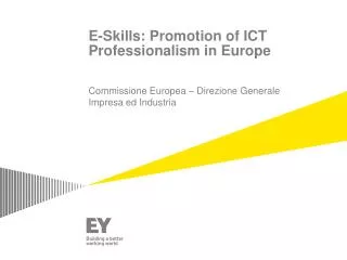 e skills promotion of ict professionalism in europe