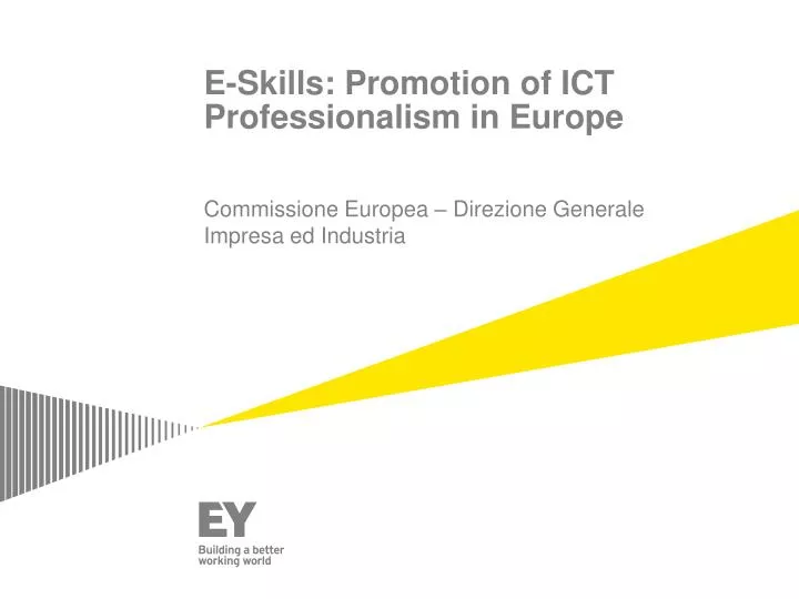 e skills promotion of ict professionalism in europe