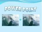 POWER POINT