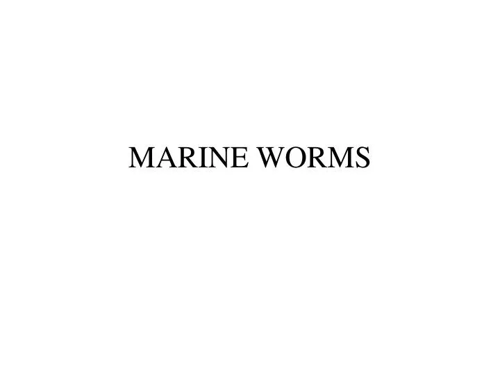 marine worms