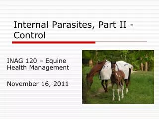 Internal Parasites, Part II - Control