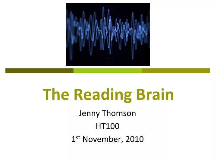 the reading brain