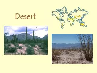 Desert