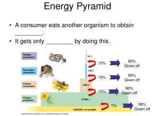 Energy Pyramid