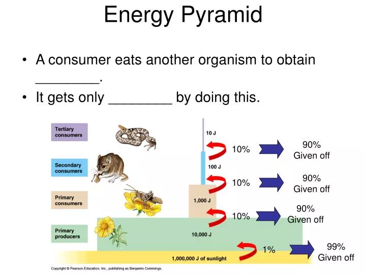 energy pyramid