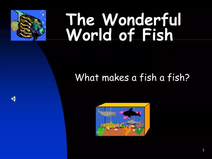 the wonderful world of fish