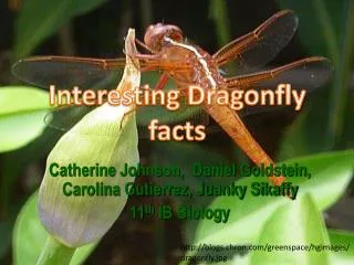 Catherine Johnson, Daniel Goldstein, Carolina Gutierrez, Juanky Sikaffy 11 th IB Biology