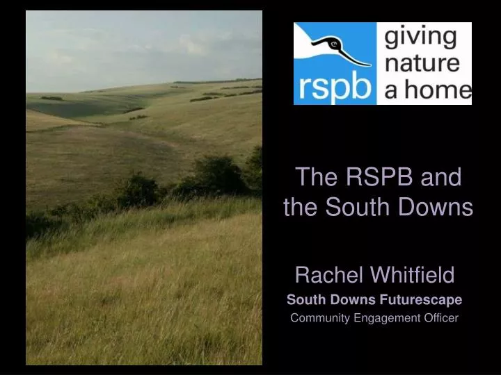 the rspb and the south downs