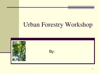 Urban Forestry Workshop