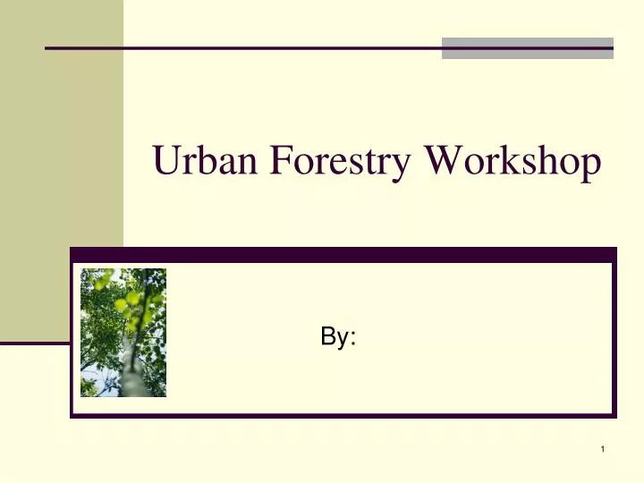urban forestry workshop