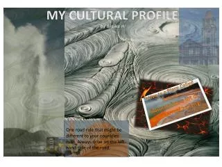 MY CULTURAL PROFILE By Blaike H