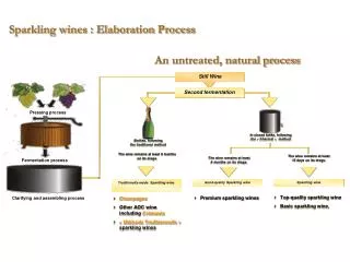 Sparkling wines : Elaboration Process