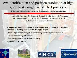 e/? identification and position resolution of high granularity single sided TRD prototype