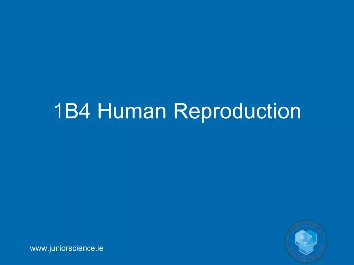 1b4 human reproduction