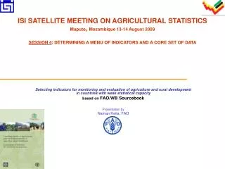 ISI SATELLITE MEETING ON AGRICULTURAL STATISTICS Maputo , Mozambique 13-14 August 2009